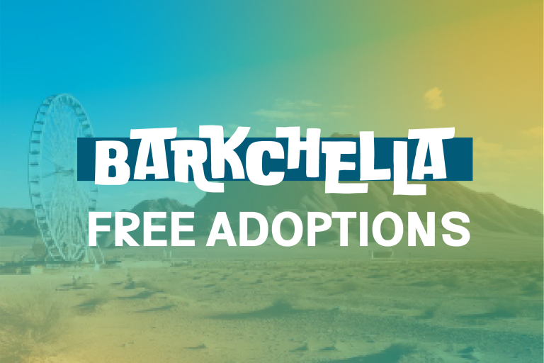 Barkchella thumbnail